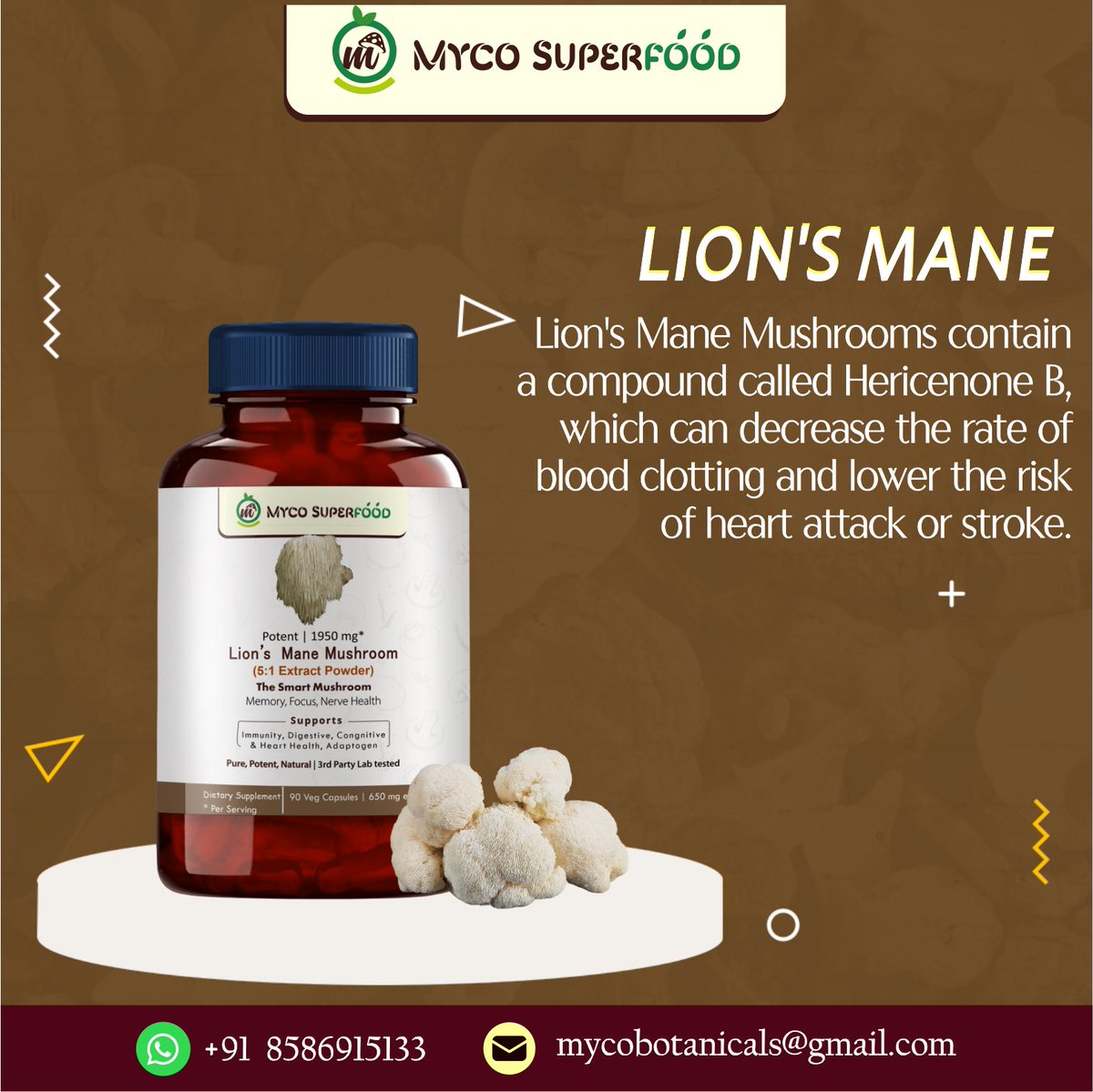 MycoBotanicals's tweet photo. LION'S MANE
Lion's Mane Mushrooms contain a compound called Hericenone B, which can decrease the rate of blood clotting and lower the risk of heart attack or stroke.

#mushrooms #healthylifestyle #healthsupplements #mentalhealth #superfood #mushroompower #mushroomcapsule https://t.co/IsnxNvrGv1
