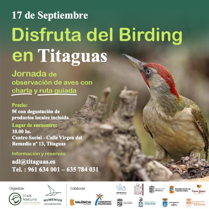 🐦Disfruta del Birding en #Titaguas el 17 de septiembre.
¡Anímate y reserva!
📧adl@titaguas.es ☎ 961634001 /635784031
@Titaguas_ @VisitNatura @c_valenciana #Valènciaturisme @Numenius_tours