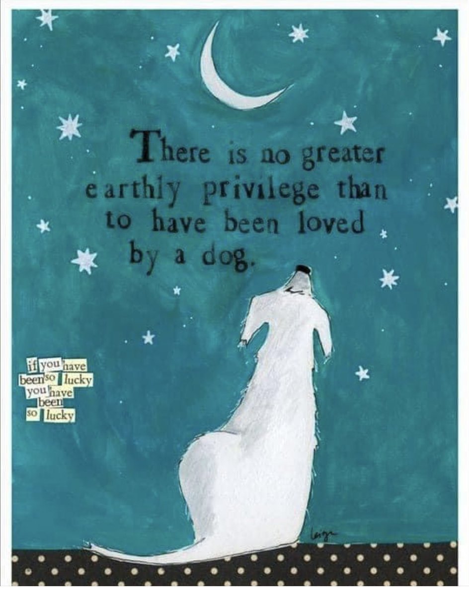 ErgraceCindy's tweet photo. @Danni1257 My deepest sympathies on your loss. May the love shared over the years comfort you until you are reunited. https://t.co/2e3ffx64wu
