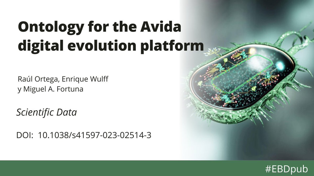 🟢 #EBDPub #OntoAvida will empower biologists by equipping them with the necessary tools to explore and analyze the field of digital evolution more effectively. #Computationalbiology #Digitalevolution @labfortuna ➡️ nature.com/articles/s4159…