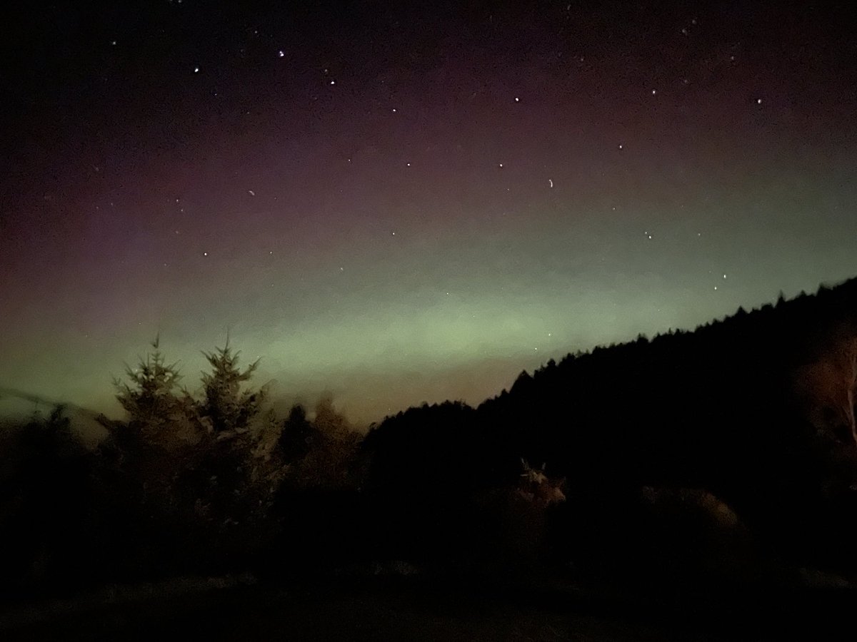 CillMhoire's tweet photo. Just taking the dog out last night and boom  Aurora, total luck it neatly framed Ursa Major.
#2023lateavailability
#2024bookingsopen
#christmas2023
#Hogmanay2023
#selfcatering
#isleofmull https://t.co/m8pi4rBkrf