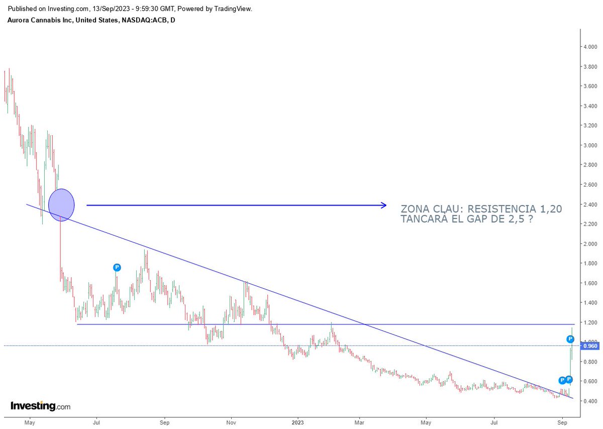 David Forcada Rifà tweet media