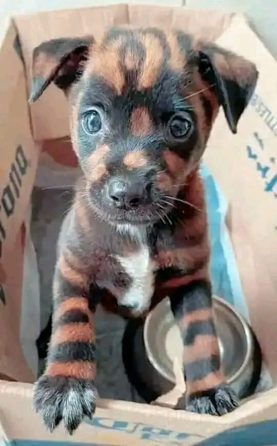 Don't scroll without giving me some love 🥰