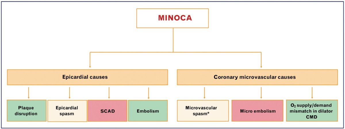 Zill_cardio's tweet photo. 🫀 Myocardial infarction with nonobstructive coronary arteries: from pathophysiology to therapeutic strategies | Journal of Cardiovascular Medicine 

@JCardioMedicine #MINOCA @heart_spasms 
 #CardioTwitter 

🔗https://t.co/uVcyeyx0R8 https://t.co/dH7EXlt6T2