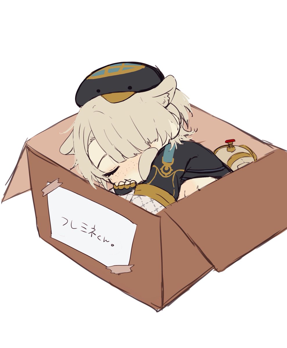 in box in container animal ears white background solo box hair over one eye  illustration images