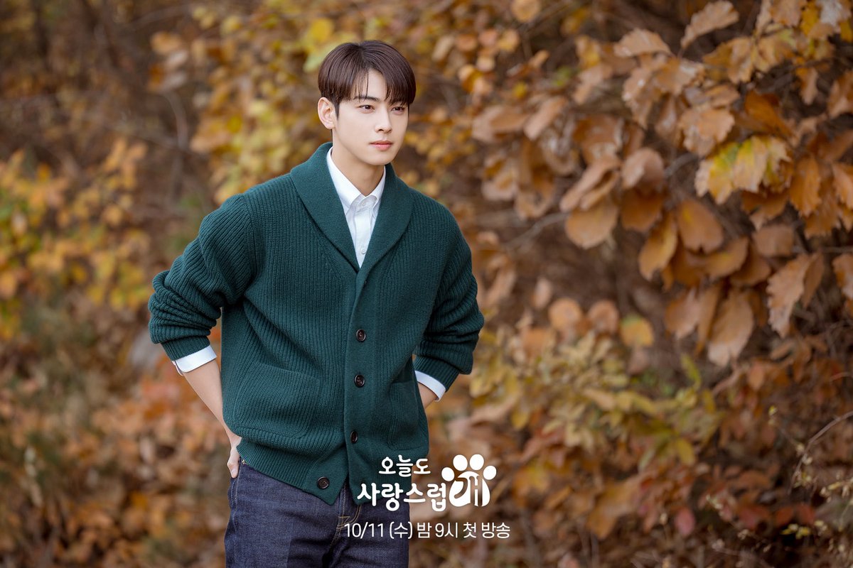 ChinguNews's tweet photo. Nuove foto per Cha Eun Woo del nuovo drama "A Good Day To Be A Dog"

"A Good Day to Be a Dog" sarà presentato in anteprima l'11 ottobre alle 21:00.

#kdrama #AGoodDayToBeADog
#ChaEunWoo #ParkGyuYoung #LeeHyunWoo #kactor #koreandrama #dramaticamenteperse https://t.co/N68DxMvA5z