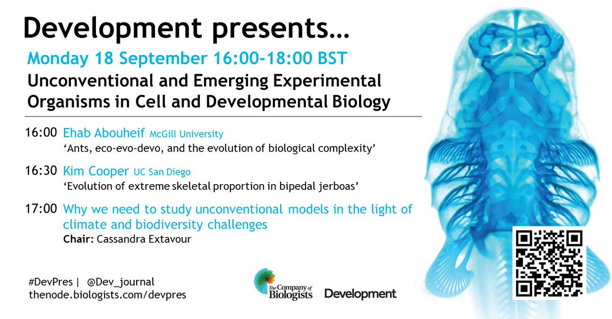 the_Node's tweet image. 'Why we need to study unconventional models in the light of climate and biodiversity challenges'

📽 We'll be live-streaming a session of the @Dev_journal meeting next week #DevMeeting23

📅Mon 18 Sep 4-6pm BST - Mark your diaries! 

thenode.biologists.com/development-pr…