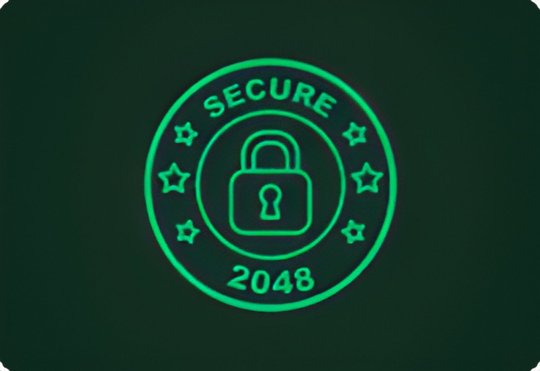 cybersslcom's tweet photo. Secure your website with 2048 it encryption. https://t.co/9TNcIavOrw