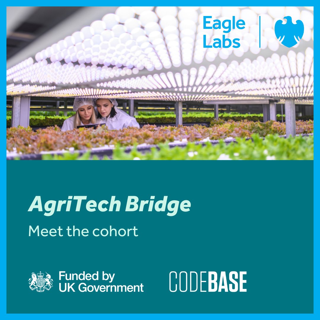 Eagle Labs tweet media