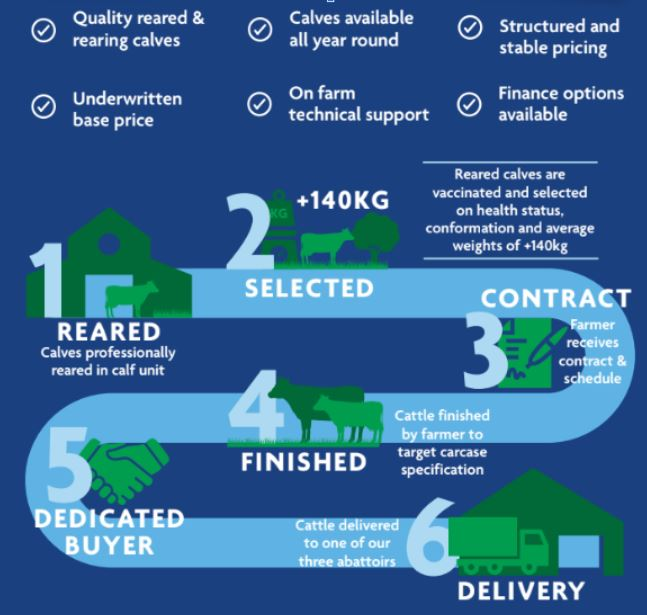 🇬🇧🐮Celebrating GB Calf Week: Discover How Our Elite Beef Scheme Works! 🐮🇬🇧
We take immense pride in the quality of our elite beef. As GB Calf Week begins, we're excited to share the meticulous process that makes our Elite Beef Scheme stand out.🌟🥩 #GBCalfWeek #EliteBeef