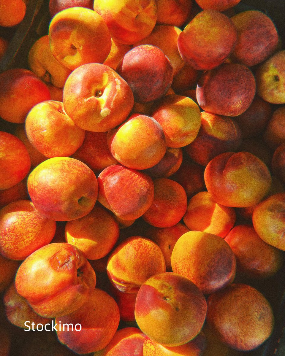 Stockimo tweet media