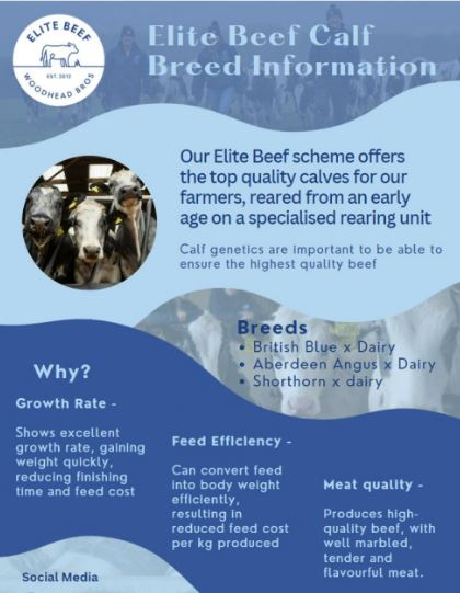 #GBCalfWeek 👀 

Find out more about our Elite Beef Genetics!👇