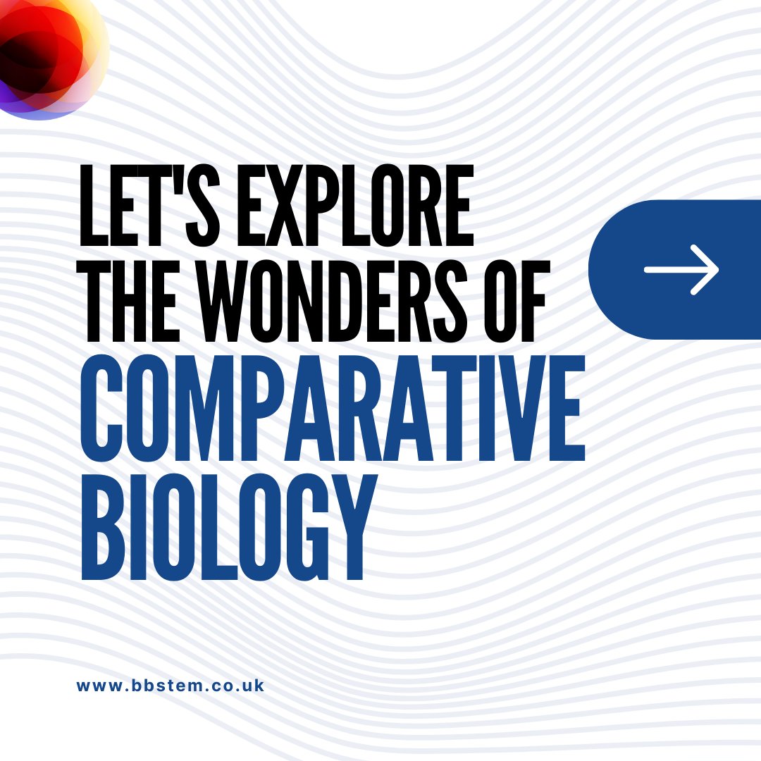 BB_STEM's tweet image. Exploring Life's Web: The Wonders of Comparative Biology!
In the intricate tapestry of life, comparative biology unravels the threads that connect species across the globe.
#ComparativeBiology #ExploringLife #EvolutionaryPatterns #DiversityOfLife #InterconnectedWeb