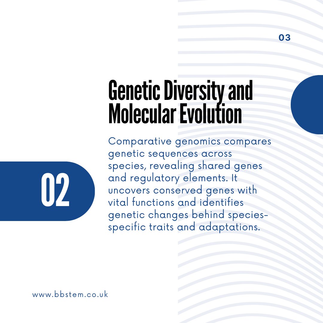 BB_STEM's tweet image. Exploring Life's Web: The Wonders of Comparative Biology!
In the intricate tapestry of life, comparative biology unravels the threads that connect species across the globe.
#ComparativeBiology #ExploringLife #EvolutionaryPatterns #DiversityOfLife #InterconnectedWeb