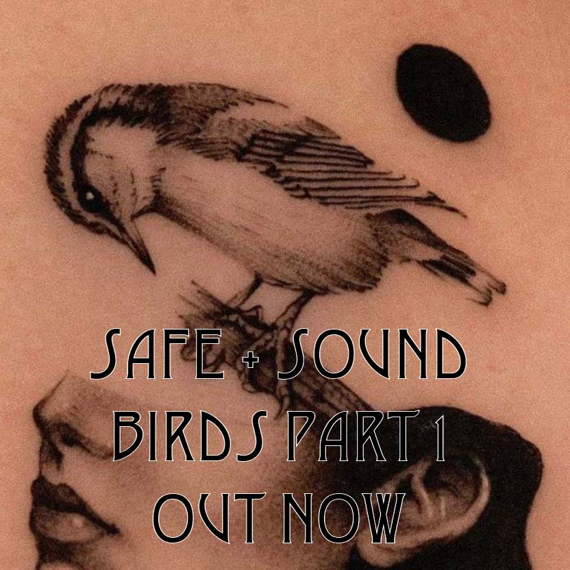 safe + sound tweet media