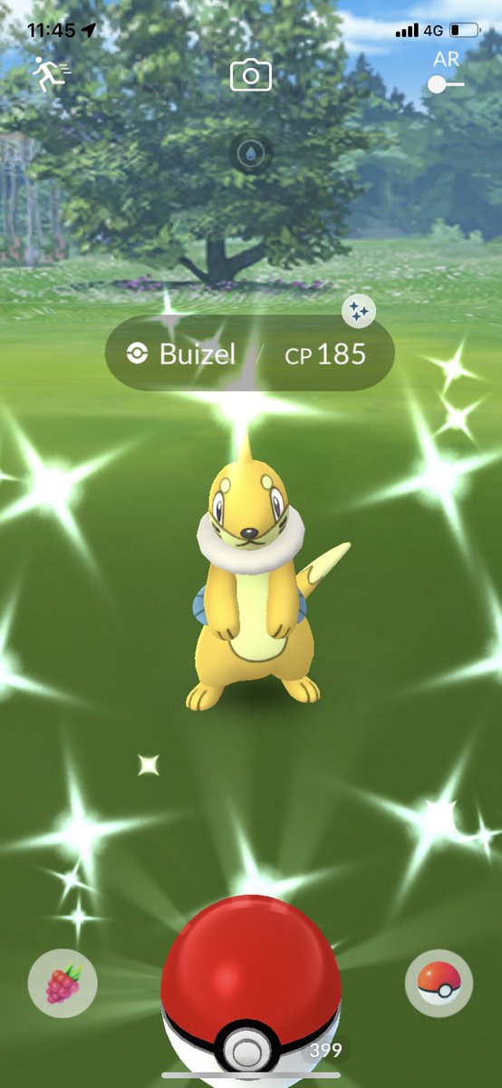 Got a shiny Buizel just outside my dad's house🏡✨💛
父の家の外で、色違いのブイゼルをゲットしました。とってもびっくりして、大喜びで迎えました😆😍✨
#PokemonGO