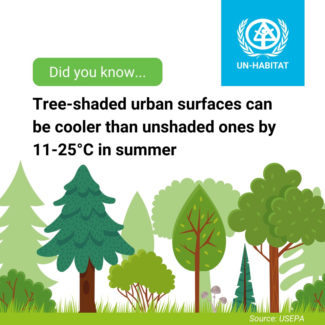 See how significant trees are in urban areas? For human well-being, beauty and flora and fauna! Via
<a href="/UNHABITAT/">UN-Habitat</a>
<a href="/UNBiodiversity/">UN Biodiversity</a>
#biodiversity #trees #urbanspaces