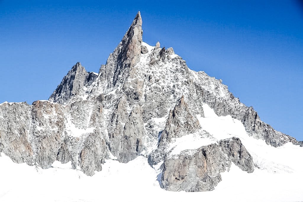 HAC Regiment tweet media