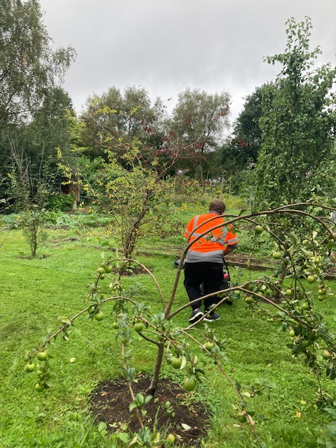 GSouthwales's tweet photo. Updates from Ty Siriol in Caerphilly 👀

This horticulture project is located on St Martins Road, half a mile from Caerphilly town centre. Participants can access a wide range of training opportunities on this site.

https://t.co/OQiyxlpqpX https://t.co/ifG5bvaMFT
