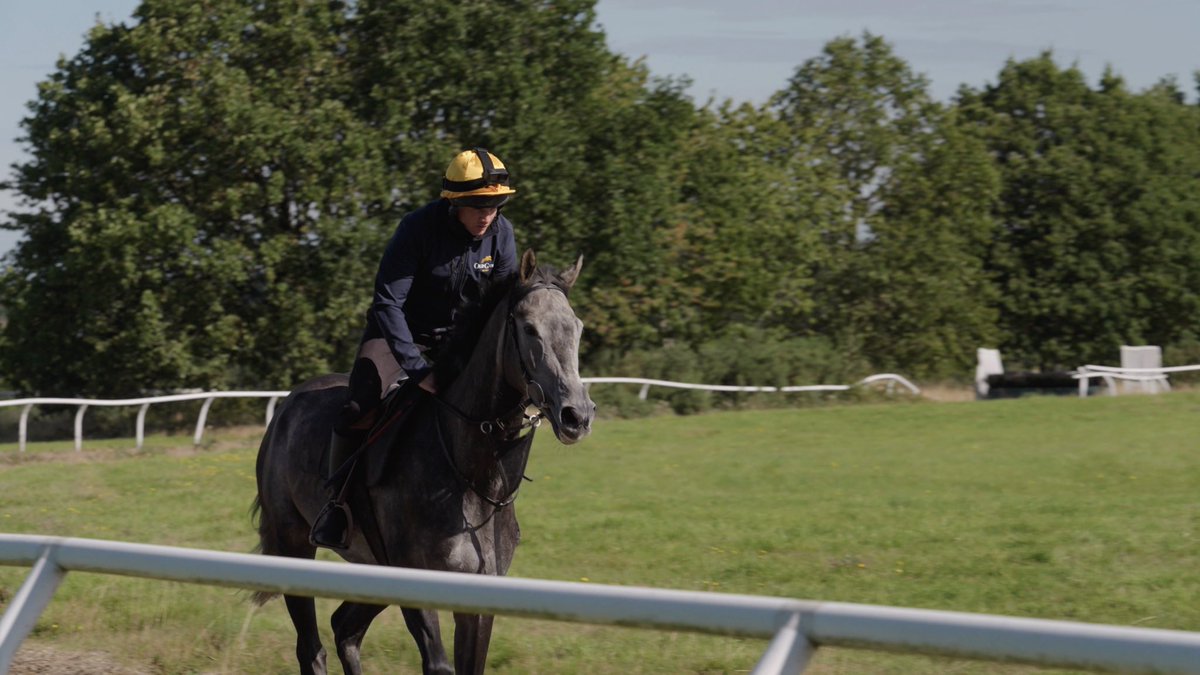 OldGoldRacing's tweet photo. 🛎️🛎️ PUBLIC SALES are LIVE 🛎️🛎️

Running The Game is now fair game to all… get in quick to #ownapieceoftheaction in this @gl_racing trained gelding! 🩶🤍🩶

Link here: https://t.co/UMXbol8B30 🛍️ 

#runningthegame #garymoore #oldgoldracing #getyourheartracing #ownapieceoftheaction