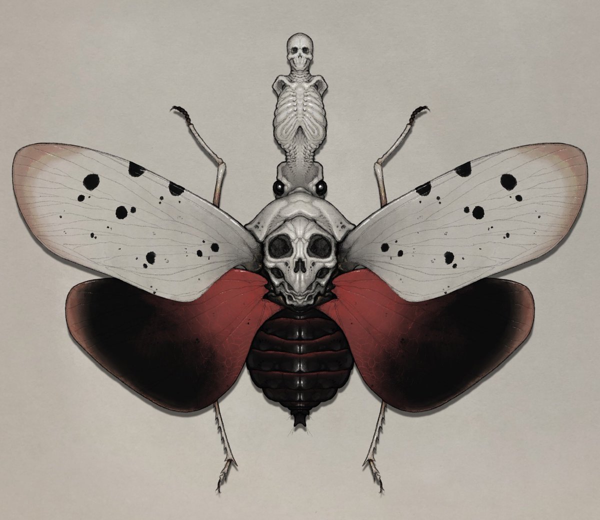 「不思議な虫たち 」|nao70sharkのイラスト