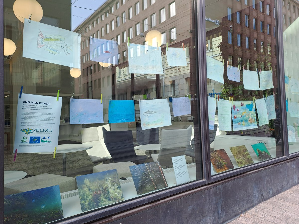 Unelmien Itämeri YM:n ikkunagalleriassa (Aleksanterink. 7, Hki) 11.9.-30.10.2023
Piirustukset ovat osa @Velmuohjelman ja LIFE IP #Biodiversea -hankkeen Itämeripäivänä järjestämää tapahtumaa, jossa kävijät saivat piirtää unelmiensa Itämeren. Esillä on myös vedenalaisia valokuvia.