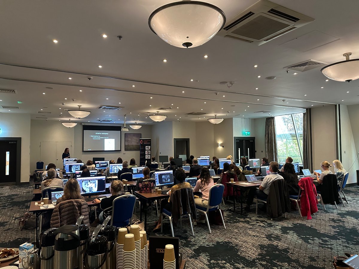 Full house at our BSUR Gynaecological Imaging work! 
<a href="/CuthbertFaye1/">CuthbertFaye</a> <a href="/BharwaniNishat/">Nishat Bharwani</a>