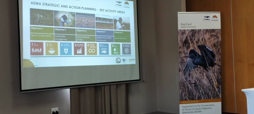 Interesting presentations from #SergeyDereliev and #EvelynMoloko from the AEWA Secretariat, @unep_aewa , shared on the AEWA strategic action plan 2019-2027 and discussed on advancing implementating AEWA initiatives in #Africa , linking the plans to the @sdgexp.. Super exciting...