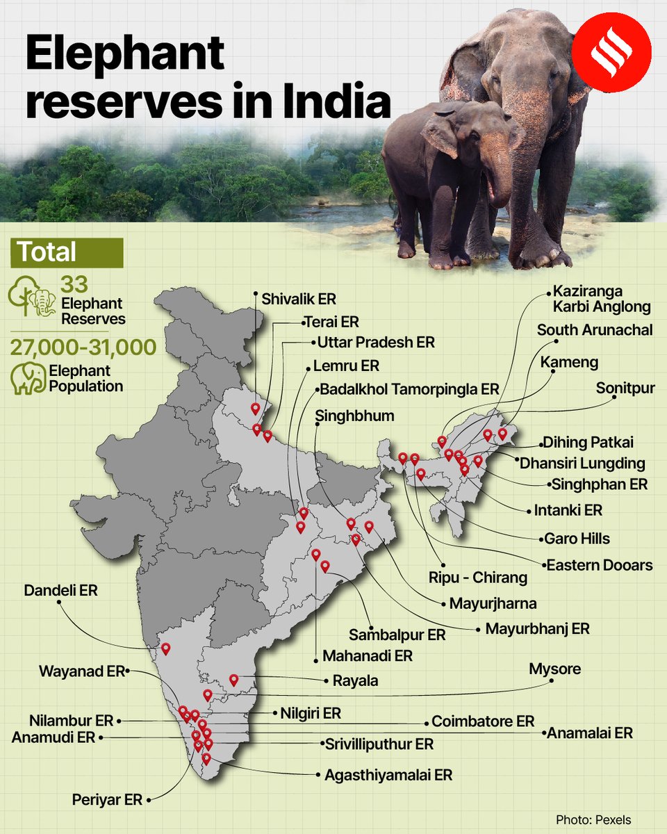 IndianExpress's tweet photo. A look at the reserves for the largest mammal on land 🐘🌿
#Elephants are unfortunately listed as vulnerable or endangered due to habitat loss and poaching for their #ivory tusks.
Therefore, #elephantreserves play a vital role in their conservation.
Here's a look at the one's in #India 👇🏽