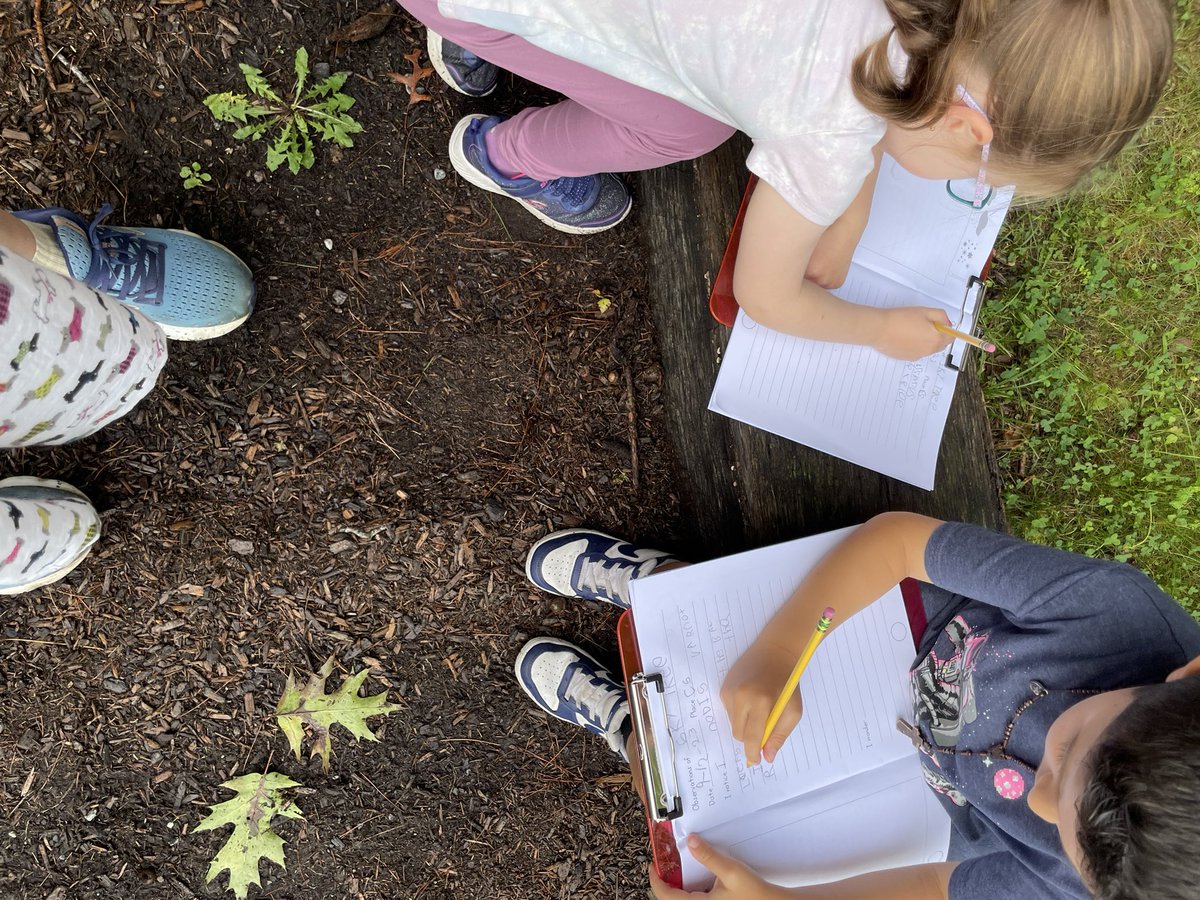 Susan Erickson tweet media