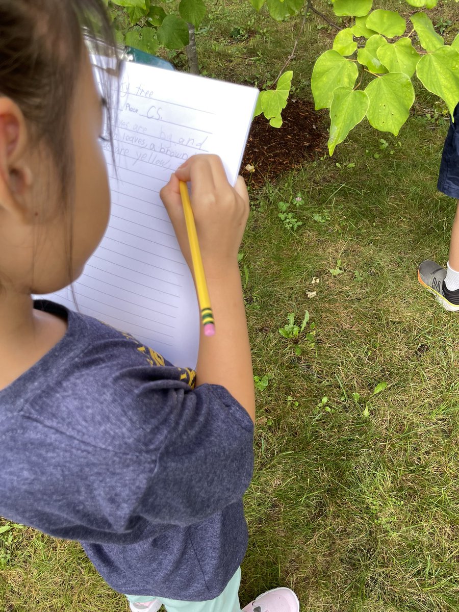 <a href="/FHLearn/">Firsthand Learning</a>   I love starting off the year with First Grade Scientists.  They are doing their first observation of the year on their class tree - a Redbud.  Lots of great observations and questions.