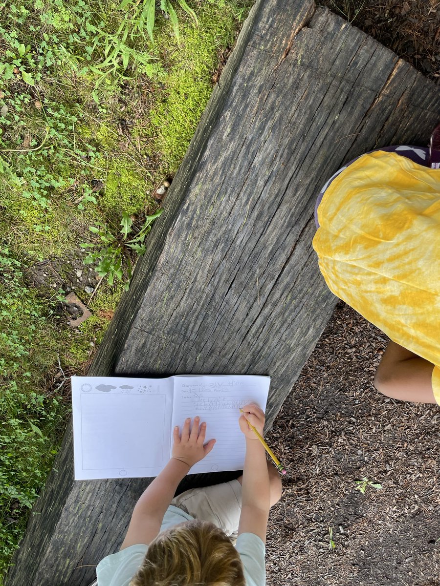 Susan Erickson tweet media