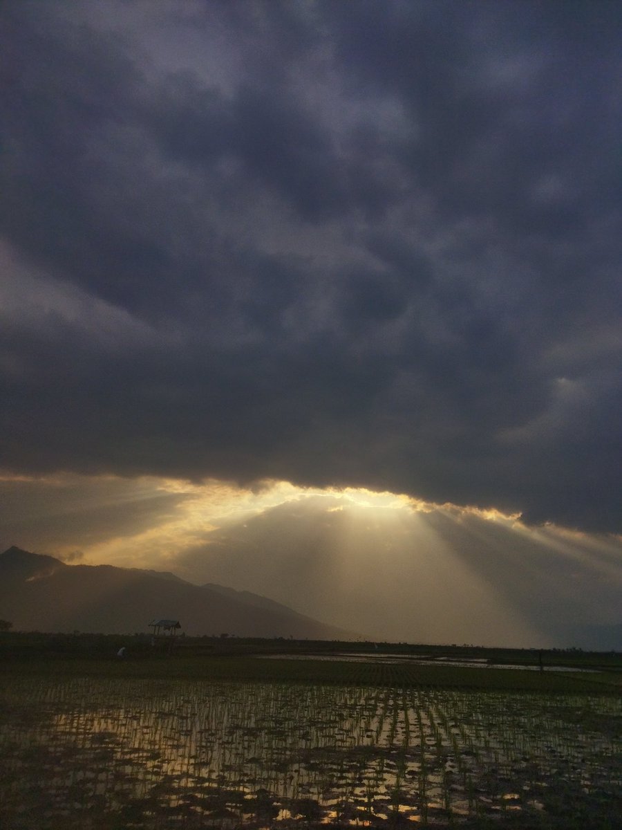 Agseisme's tweet photo. senyum manis tipis dari matahari sebelum awan dan malam mengganti.
#sunset #iPhone15Pro #Iphone15 #Indonesia #iPhone15ProMax https://t.co/BkvV1ByLUD