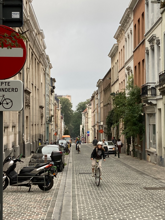 nicdemoy's tweet photo. @YvesRouyet @doulkeridis avant, il y avait moins de voitures qu'après..., situation tellement prévisible..encore un job pour @WorldBollard https://t.co/RmLxzNMycK
