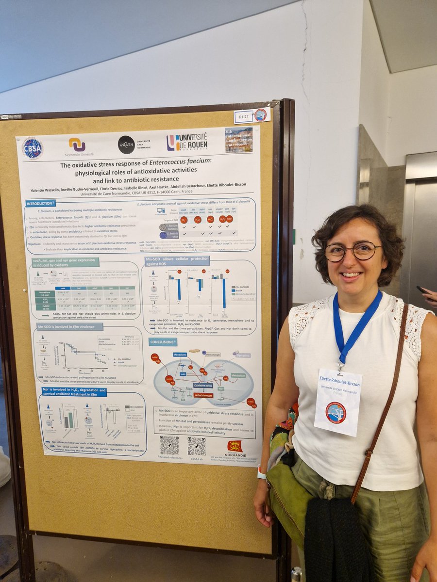 CBSA_Lab's tweet photo. Gratulations to Eliette Bisson for her nice poster on oxidative stress response and antibiotic resistance in E. faecium #enterococci #ICE6 #Porto https://t.co/pDBkdWAlIE