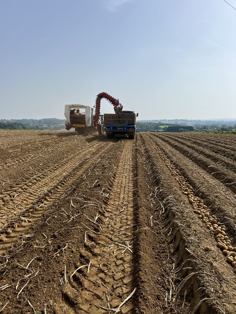 #BackBritishFarmingDay 🥔 ☀️