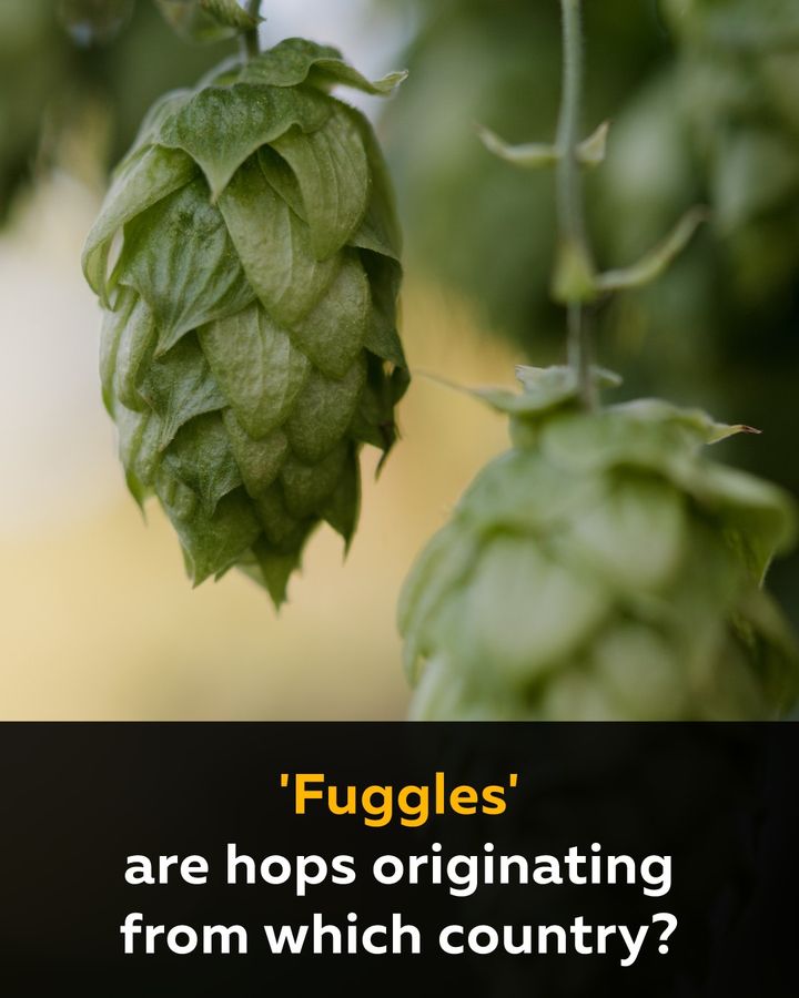 Weekly Craft Beer Trivia #94 🍻
Joel has crafted up five frothy new questions for this week's trivia - can you go 5 for 5?