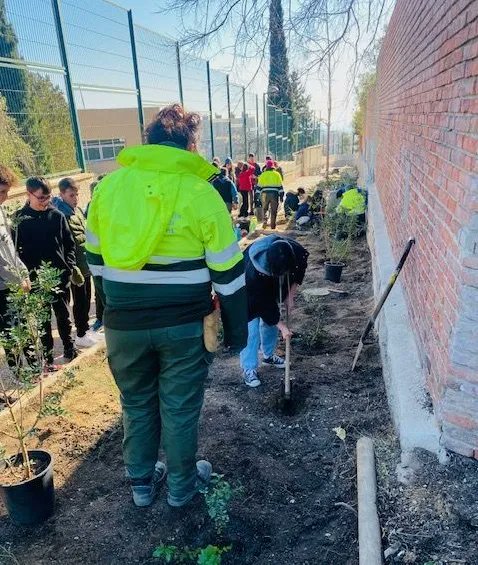 🌱 L’alumnat de #JEGràcia renaturalitza un espai abandonat del barri de la Salut en el marc de la iniciativa 'Mans al verd' d'#EscolesSostenibles.
Ho llegim aquí ➡️ bit.ly/3rdpzUV

#BCNSostenible