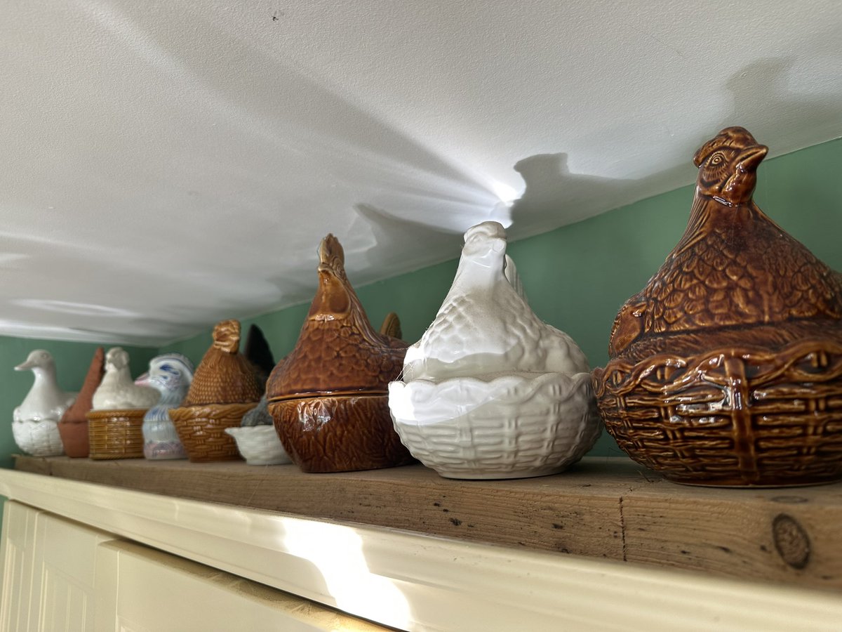 Anton Wright tweet media