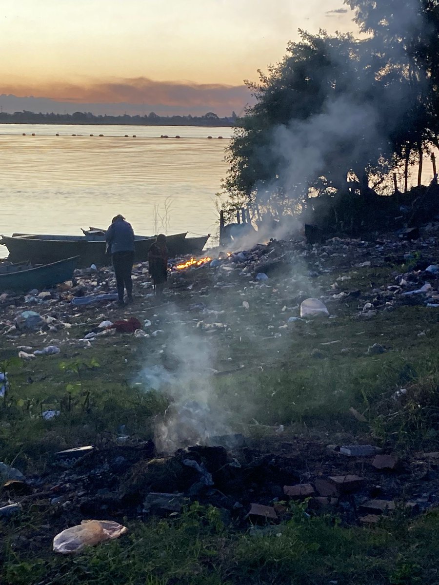 Aulamar - Patí Científic tweet media