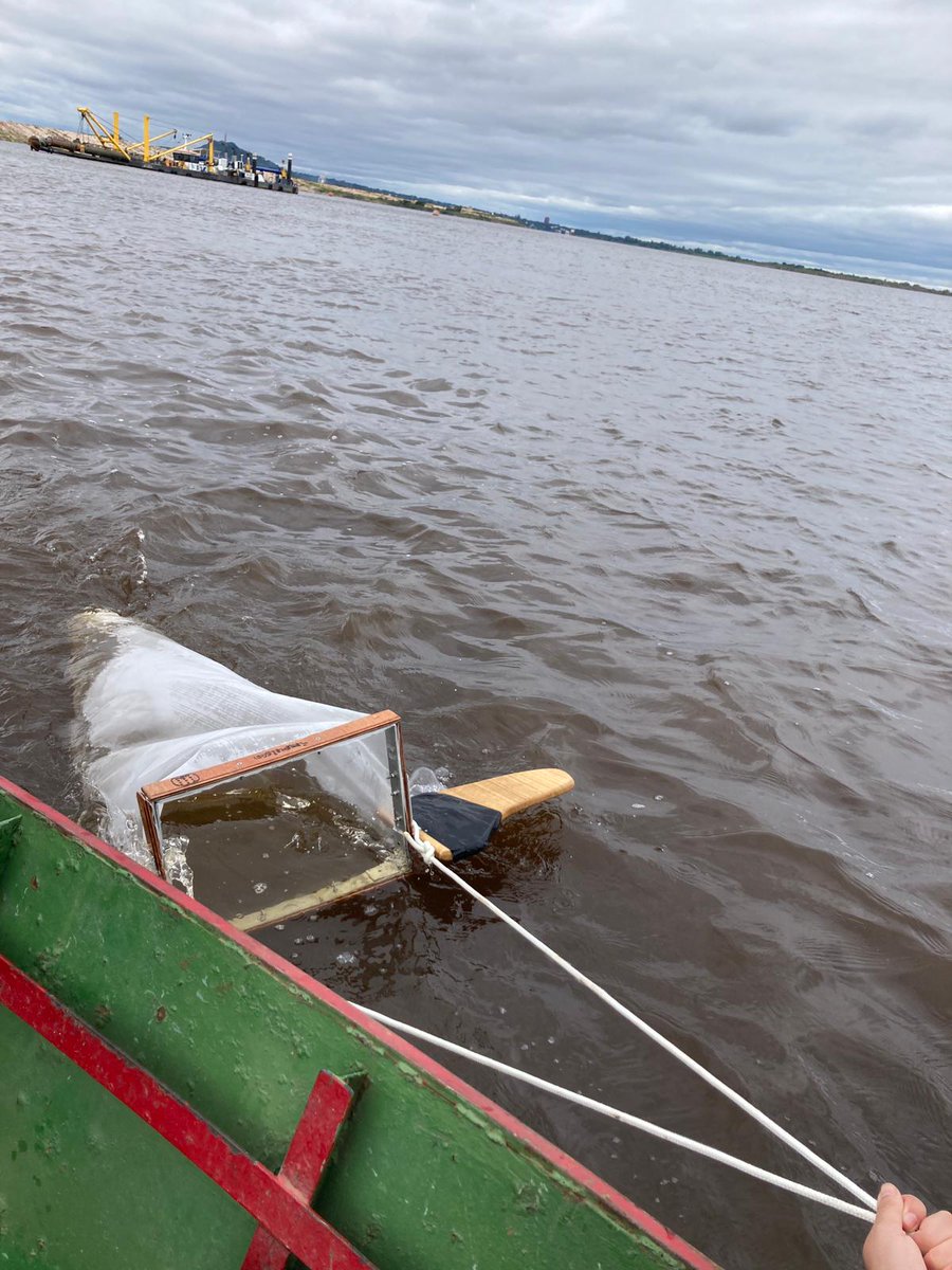 Aulamar - Patí Científic tweet media