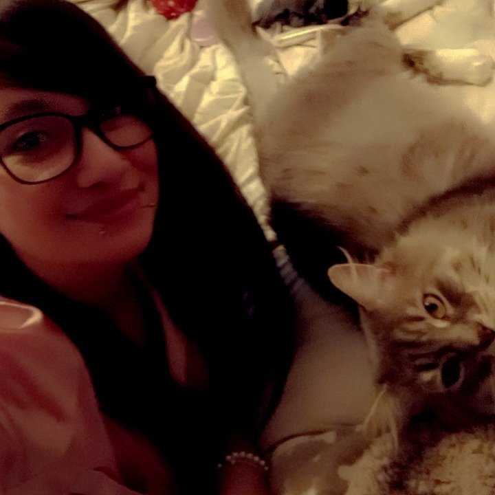 MinnieMissCraft's tweet image. My little fluffy persian kitty and me ♡
#CatsofTwittter #KittyTwitter #cute #animal #AnimalsLover #catlover