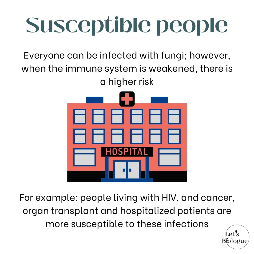 LetsBiologue's tweet photo. What's an fungi infection?
And who's affected by it?
#chooseknowledge https://t.co/znqcja5aV3