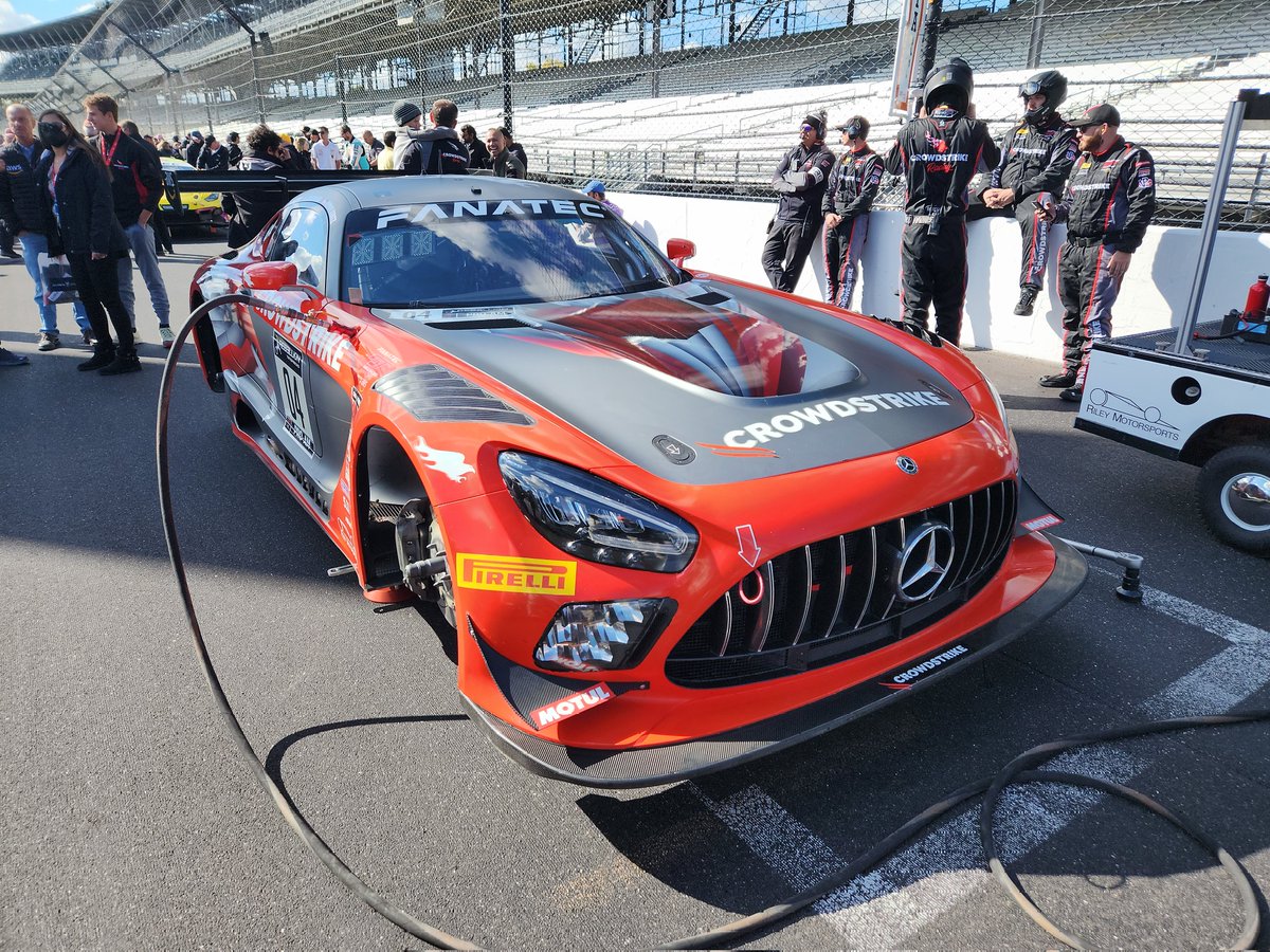 🧡Geo🐶Mutt💜 tweet media