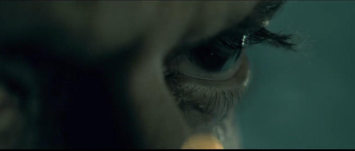NataschaLeng's tweet photo. Never before a director paid as much attention to the beautiful ♏️ eyes of @iamsrk as @Atlee_dir There are a dozen scenes throughout the the film. Beside the story, acting, directing etc. I‘d give an award for best eyes, even for 🦂😁 Love to you @iamsrk https://t.co/AOqo52gy2h