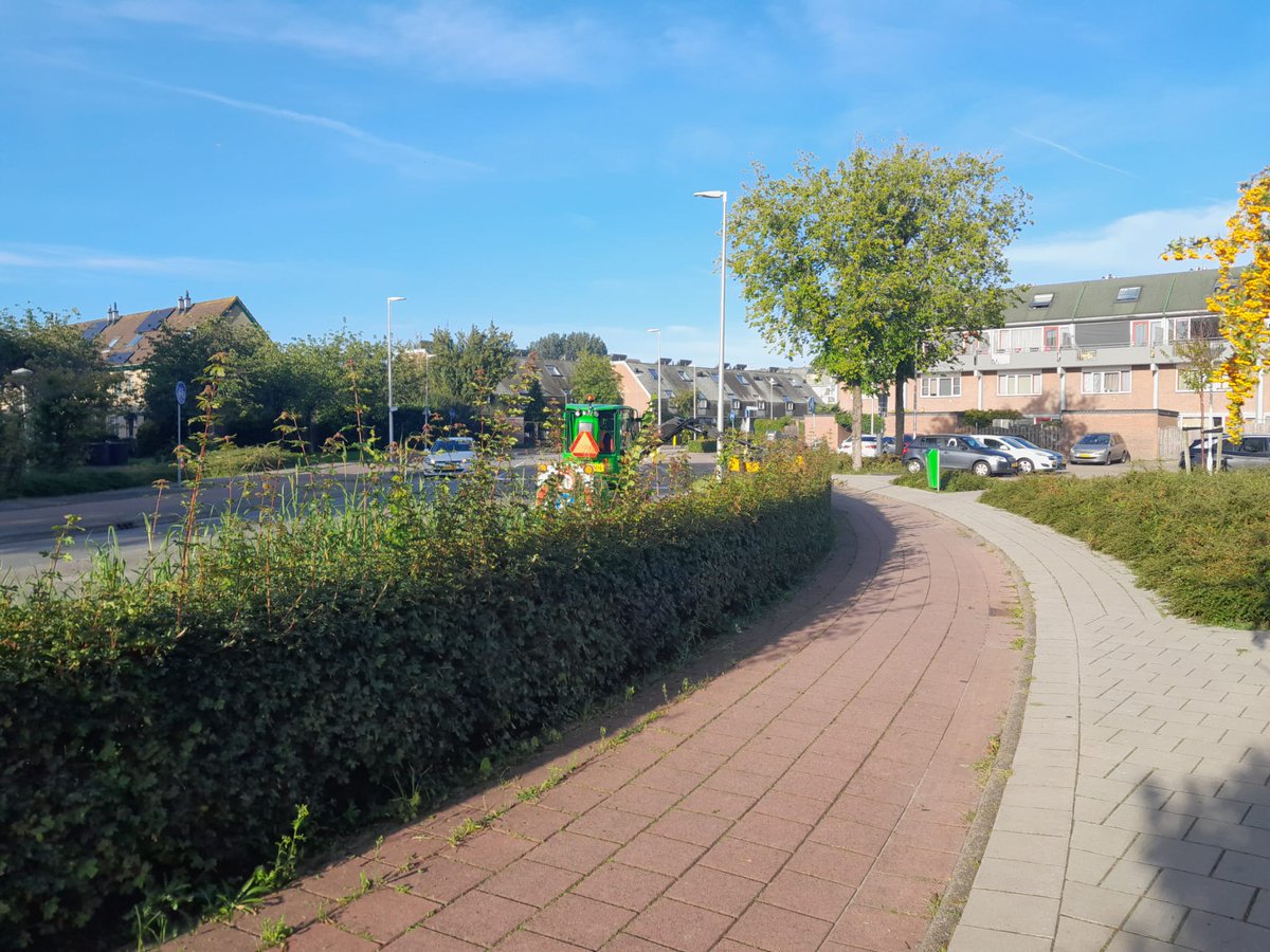 Deze weken worden voor de tweede keer de hagen geknipt in de wijk. Dit gebeurt tegelijk met het maaien van ruig gras zodat alles kort en strak de winter in gaat!#HOEK #nettebuurt #hagenscheren