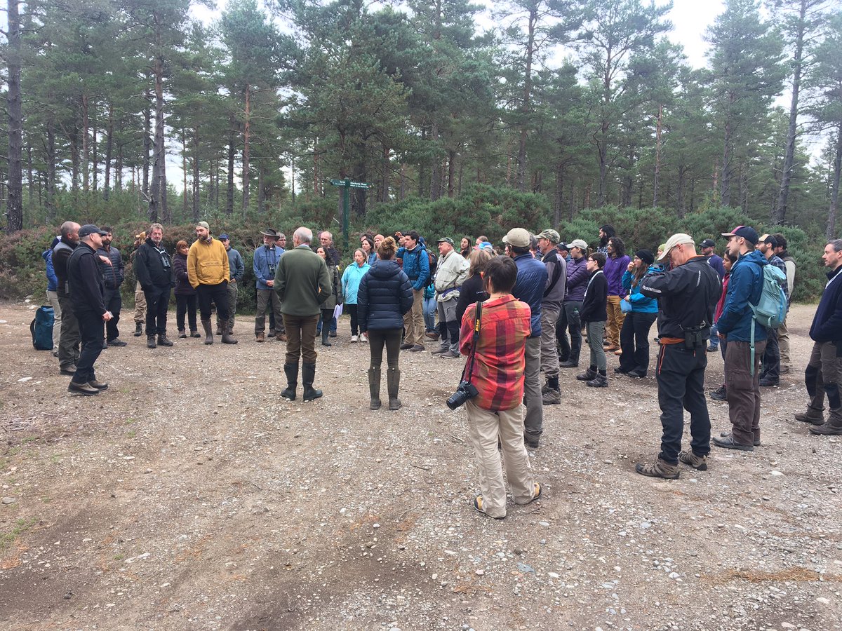 Great discussions in the field among delegates at #Martes2023 about the challenges of land management on estate lands in Scotland. <a href="/MartesGroup/">Martes Working Group</a>