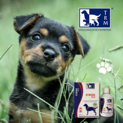 EquinvestES's tweet photo. ¿Tus peludos amigos merecen lo mejor? 𝟑𝟎% 𝑫𝑬 𝑫𝑬𝑺𝑪𝑼𝑬𝑵𝑻𝑶 𝑯𝑨𝑺𝑻𝑨 𝑬𝑳 𝟏𝟕/𝟎𝟗 🐶💙

Descubre 𝑺𝑻𝑹𝑰𝑫𝑬 𝑷𝑳𝑼𝑺 𝑷𝑨𝑹𝑨 𝑷𝑬𝑹𝑹𝑶𝑺 , para el cuidado nutricional de las articulaciones de tus perros. 

https://t.co/FgdBlfLWYk

#perros #mascotas #veterinarios https://t.co/9buLz6eG4t