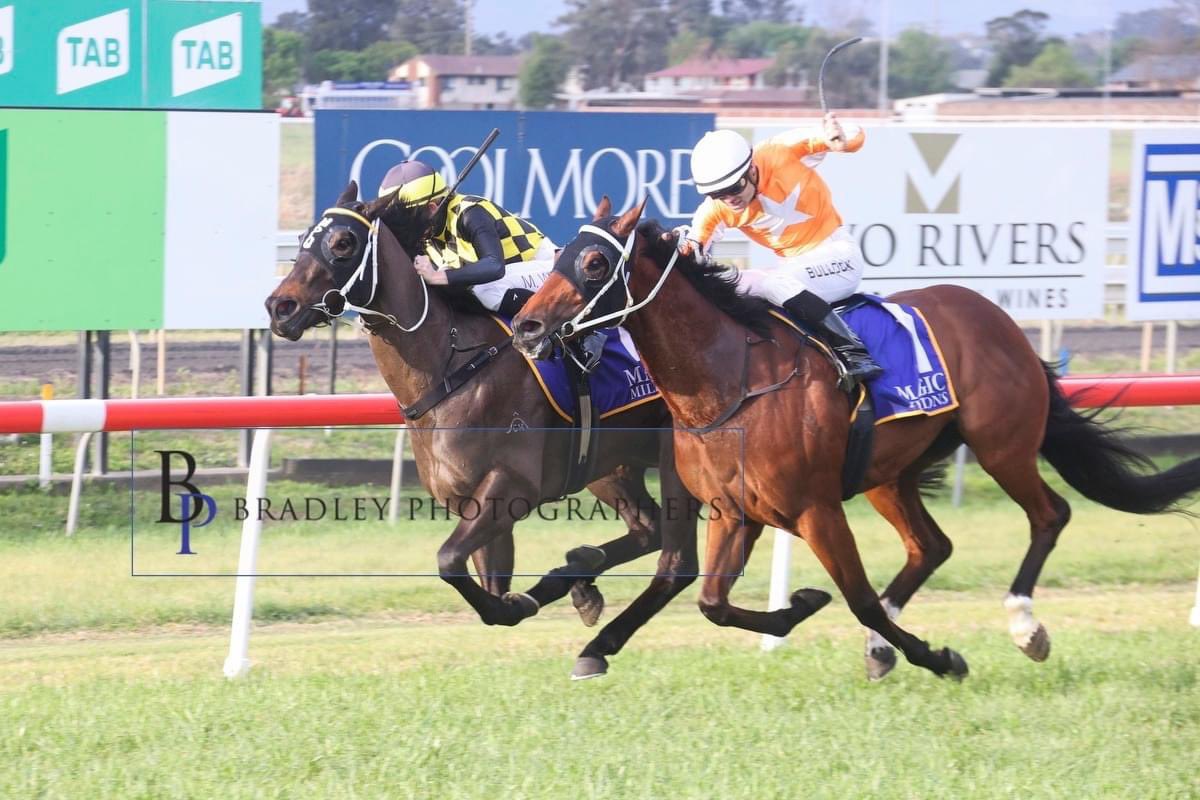 tomquinn99's tweet photo. Bomarea!! Terrific first up win π Takes
her record to 2 from 3! #classrecord @marcquinnracing https://t.co/SRMQ1PWrMF