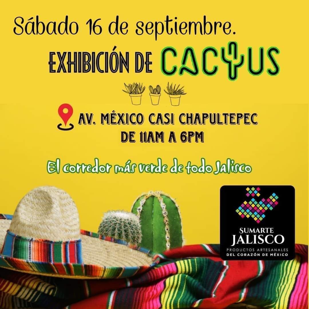 SumarteJalisco tweet media